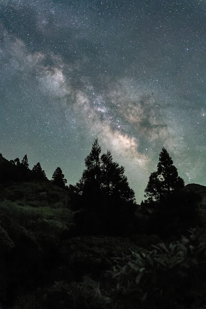 Milky Way Suits